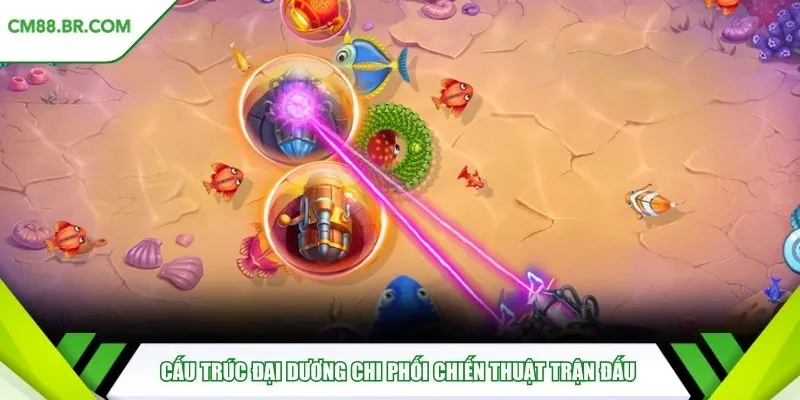 Cấu trúc đại dương chi phối chiến thuật trận đấu