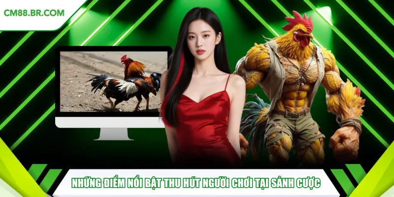 Những điểm nổi bật thu hút người chơi tại sảnh cược