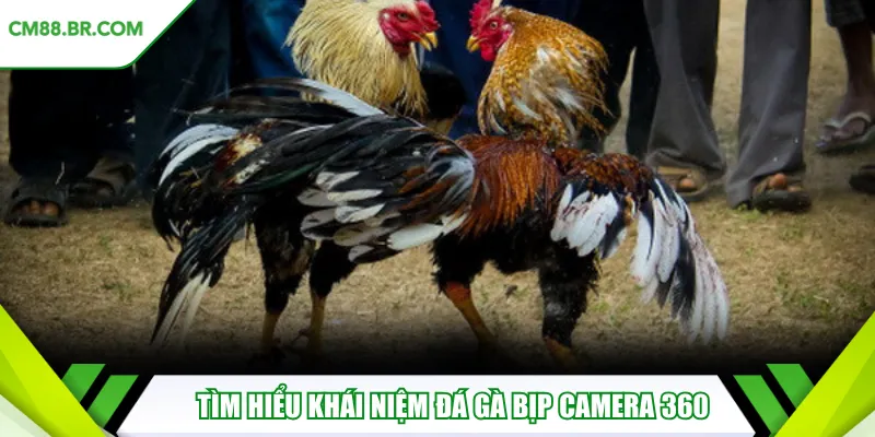 Tìm hiểu khái niệm đá gà bịp camera 360